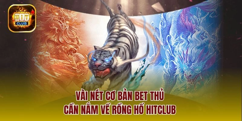 Vài nét cơ bản bet thủ cần nắm về rồng hổ Hitclub